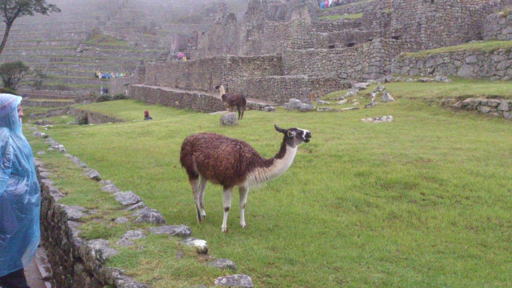 The Gold, the Soles, and the Breads of Machu Picchu: Exploring Peru’s Richest Culture and Heritage